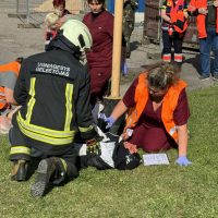 Vyksta kompleksinės pratybos