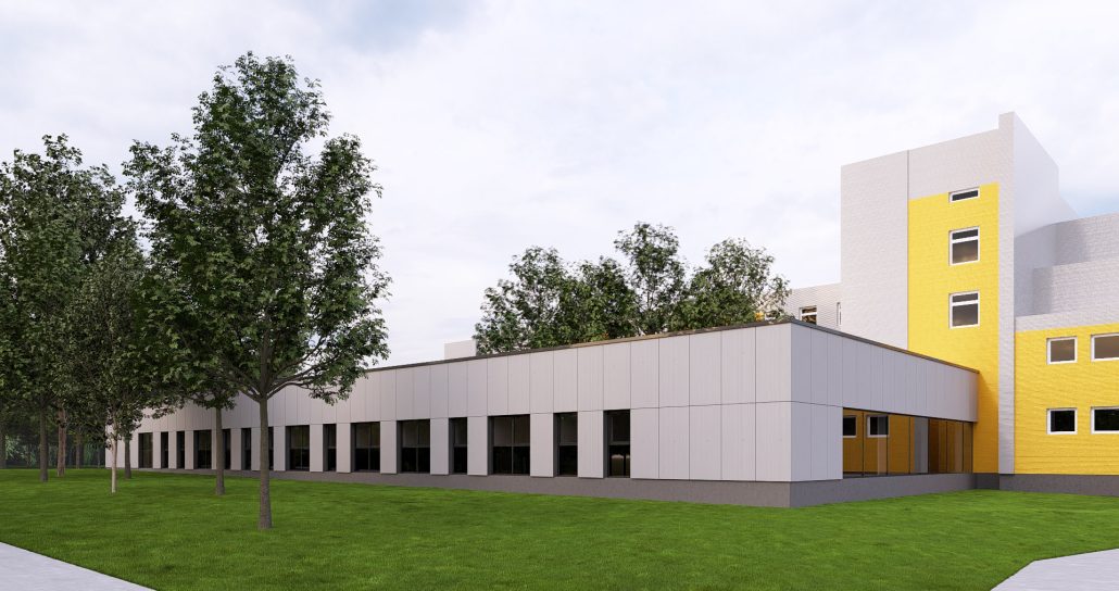 Ilgalaikės priežiūros paslaugų plėtojimo užtikrinimas Kėdainių rajono savivaldybėje